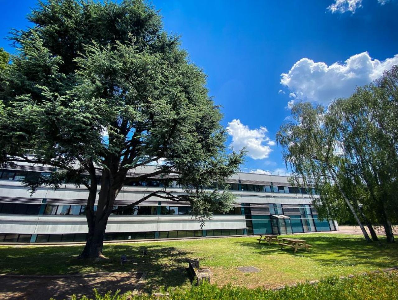 Local d'activité Sotteville-lès-Rouen 4200m² Location local d'activité Sotteville-lès-Rouen Seine-Maritime OLACT2425344 17
